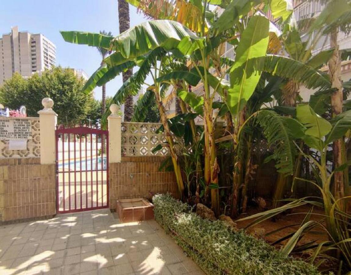Benidorm Rocas One, Un Oasis A 100 Metros Del Mar公寓 外观 照片